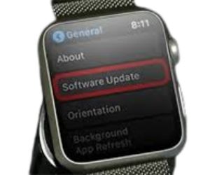 apple watch Software Troubleshooting